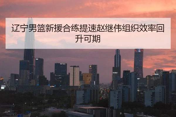 辽宁男篮新援合练提速赵继伟组织效率回升可期