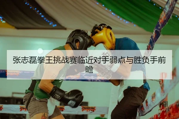 张志磊拳王挑战赛临近对手弱点与胜负手前瞻