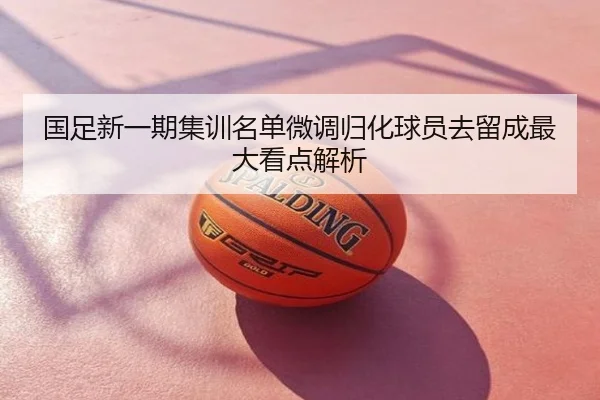 国足新一期集训名单微调归化球员去留成最大看点解析